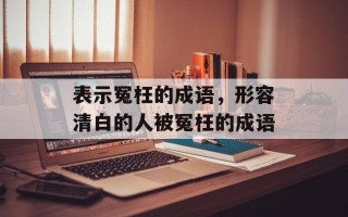 表示冤枉的成语，形容清白的人被冤枉的成语