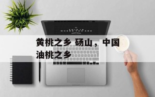 黄桃之乡 砀山，中国油桃之乡