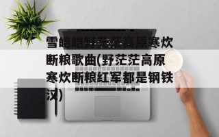 雪皑皑野茫茫高原寒炊断粮歌曲(野茫茫高原寒炊断粮红军都是钢铁汉)