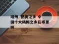 靖州  杨梅之乡 中国十大杨梅之乡在哪里啊