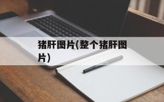 猪肝图片(整个猪肝图片)