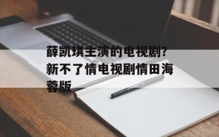 薛凯琪主演的电视剧？新不了情电视剧情田海蓉版