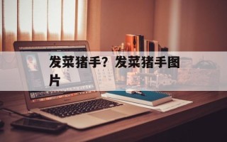 发菜猪手？发菜猪手图片