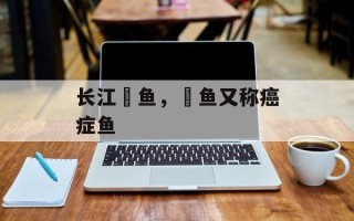 长江鮰鱼，鮰鱼又称癌症鱼
