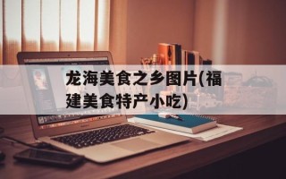 龙海美食之乡图片(福建美食特产小吃)