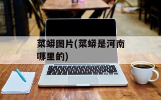 菜蟒图片(菜蟒是河南哪里的)