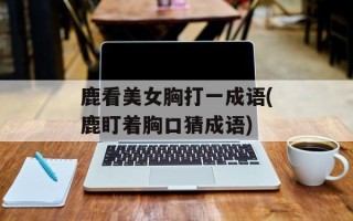 鹿看美女胸打一成语(鹿盯着胸口猜成语)