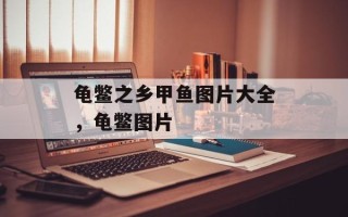 龟鳖之乡甲鱼图片大全，龟鳖图片