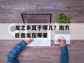 龙之乡属于哪儿？南方巨兽龙在哪里