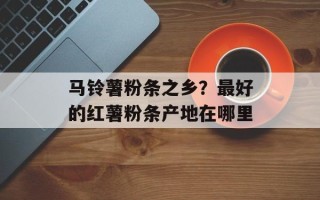 马铃薯粉条之乡？最好的红薯粉条产地在哪里
