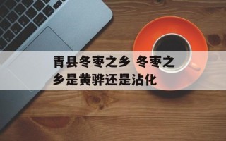 青县冬枣之乡 冬枣之乡是黄骅还是沾化