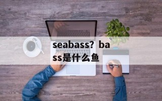 seabass？bass是什么鱼
