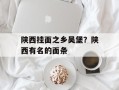 陕西挂面之乡吴堡？陕西有名的面条
