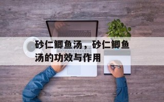 砂仁鲫鱼汤，砂仁鲫鱼汤的功效与作用