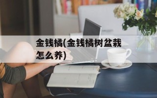 金钱橘(金钱橘树盆栽怎么养)