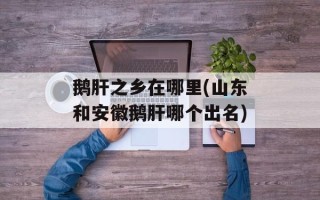 鹅肝之乡在哪里(山东和安徽鹅肝哪个出名)