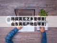 韩国黄瓜之乡是哪里(山东黄瓜产地在哪里)