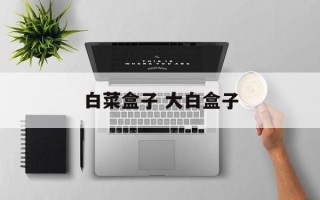 白菜盒子 大白盒子
