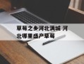 草莓之乡河北满城 河北哪里盛产草莓