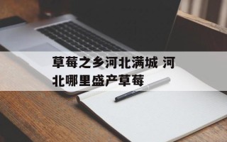 草莓之乡河北满城 河北哪里盛产草莓