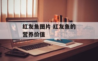 红友鱼图片 红友鱼的营养价值