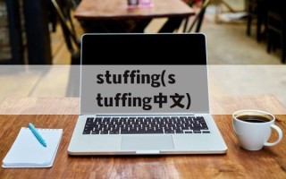 stuffing(stuffing中文)