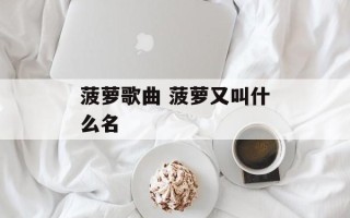菠萝歌曲 菠萝又叫什么名
