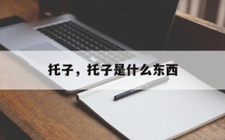 托子，托子是什么东西