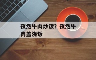 孜然牛肉炒饭？孜然牛肉盖浇饭