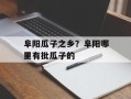 阜阳瓜子之乡？阜阳哪里有批瓜子的
