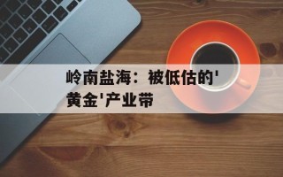 岭南盐海：被低估的'黄金'产业带