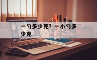 一勺多少克？一小勺多少克