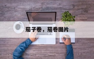 茄子卷，茄卷图片