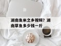 湖南鱼米之乡视频？湖南草鱼多少钱一斤