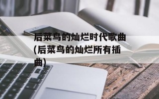 后菜鸟的灿烂时代歌曲(后菜鸟的灿烂所有插曲)