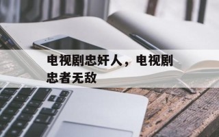 电视剧忠奸人，电视剧忠者无敌