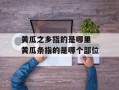 黄瓜之乡指的是哪里 黄瓜条指的是哪个部位