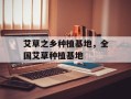 艾草之乡种植基地，全国艾草种植基地