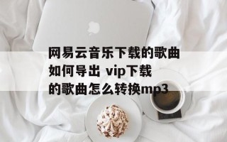 网易云音乐下载的歌曲如何导出 vip下载的歌曲怎么转换mp3