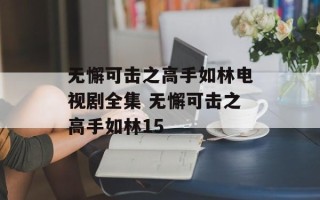 无懈可击之高手如林电视剧全集 无懈可击之高手如林15