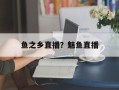 鱼之乡直播？魅鱼直播
