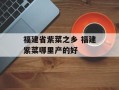 福建省紫菜之乡 福建紫菜哪里产的好