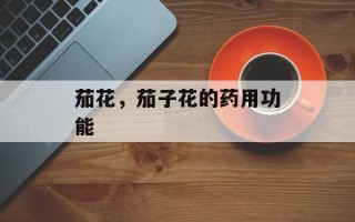 茄花，茄子花的药用功能