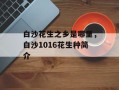 白沙花生之乡是哪里，白沙1016花生种简介