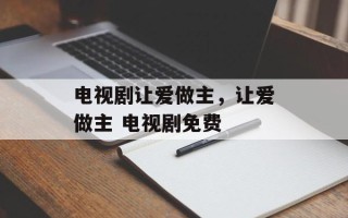 电视剧让爱做主，让爱做主 电视剧免费