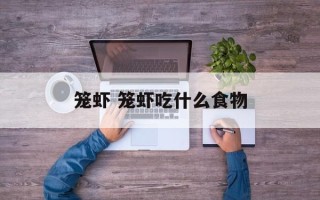 笼虾 笼虾吃什么食物