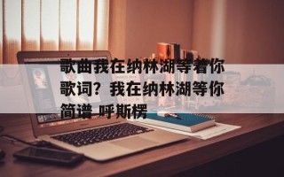歌曲我在纳林湖等着你歌词？我在纳林湖等你简谱 呼斯楞