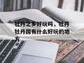 牡丹之乡好玩吗，牡丹牡丹园有什么好玩的地方