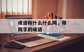 成语和什么什么同，带同字的成语