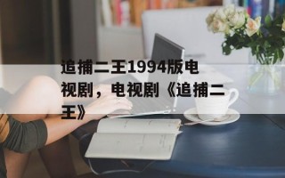 追捕二王1994版电视剧，电视剧《追捕二王》